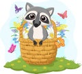 Cartoon funny raccoon in the basket