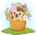 Cartoon baby hedgehog in the basket