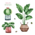 Watercolor potted plants set