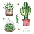 Watercolor potted plants set