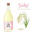 Bottle of sake, spike of rice and grains isolated on white background. Vector illustration