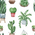 Watercolor potted plants texture