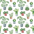 Watercolor potted plants texture