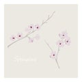 Vector springtime card with sakura branches