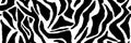 Zebra print. Stripes, animal skin, tiger stripes, abstract pattern, line background. Black and white vector Royalty Free Stock Photo