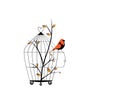 Bird cage with open door and robin bird silhouette, vector. Wall decals, wall decor, Royalty Free Stock Photo