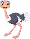 Cartoon baby ostrich isolated on white background