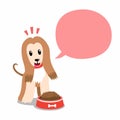 Vector cartoon character afghan hound dog and speech bubble Royalty Free Stock Photo