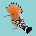Cute Eurasian hoopoe bird illustration