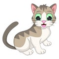 Cat adorable and funny cartoon vector illustration Royalty Free Stock Photo