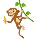 Cartoon monkey hanging and holds banana in tree branch Royalty Free Stock Photo