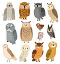 Owls. Vector set of different owls