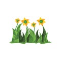 Vector grass with sunflowers inside. With a white background. Royalty Free Stock Photo