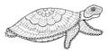 Patterned sea turtle in zentangle style. Isolated black and white doodle aquatic animal for book or coloring page, tattoo, mehendi