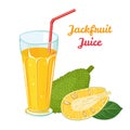 Jackfruit juice in glass Isolated on a white background. Fresh beverage from tropical fruit. Royalty Free Stock Photo