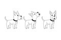 Vector cartoon character great dane dog poses set