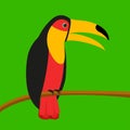 Toucan. A bird with a big beak. A toucan with a yellow beak. Bird. A noisy bird.