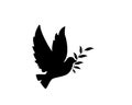 Dove peacemaker silhouette, vector. Dove illustration, symbol of peace. Flying dove holding branch isolated on white Royalty Free Stock Photo