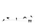 Birds silhouettes on wire, vector. Wall decals, wall art work. Scandinavian minimalist poster design isolated on white background. Royalty Free Stock Photo