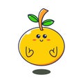 Illustration vector graphic of cute orange fruit Royalty Free Stock Photo