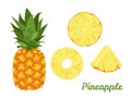 Pineapple set. Whole pineapple and slices isolated on a white background. Vector illustration Royalty Free Stock Photo