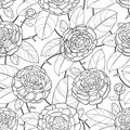 Vector seamless pattern with outline open Camellia flower, bud and ornate leaf in black on the white background.