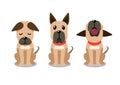 Set of vector cartoon character great dane dog poses