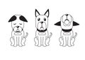 Vector cartoon character great dane dog poses set