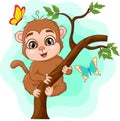 Cute baby monkey on tree branch Royalty Free Stock Photo