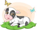 Cute little cow sitting in the grass Royalty Free Stock Photo