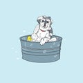 Cute dog take a bath on pail vector Royalty Free Stock Photo