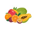 Pile of tropical fruits isolated on white background. Vector illustration of papaya, orange, passion fruit, mango