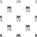 Cartoon character siberian husky dog seamless pattern background Royalty Free Stock Photo