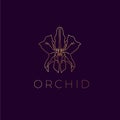 Orchid vector logo. Orchid emblem. Orchid icon