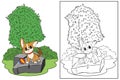 Coloring page cute standing dog on stone in garden vector