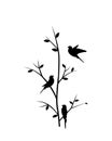 Branch illustration with birds silhouettes, vector. Scandinavian minimalist art design. Poster design, artwork.