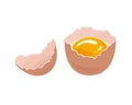 Broken chicken egg and yellow egg yolk in shell isolated on white background. Vector illustration Royalty Free Stock Photo