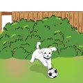 Dog running catch the ball in garden vector