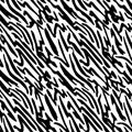 Full seamless zebra and tiger stripes animal skin pattern. Black and white texture design for textile fabric printing. Royalty Free Stock Photo