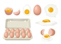 Set of chicken eggs. Whole eggs in carton box, broken egg, yolk, boiled, fried egg and cracked shell.