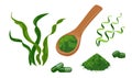 Spirulina set of vector illustrations. Wooden spoon with spirulina powder, seaweed pills