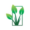 Green nature leaf plant group square frame logo design