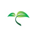 Green nature leaf plant logo design