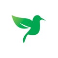 Green nature leaf bird wing flying logo design