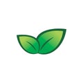 Beautifull green nature leaf logo design