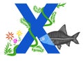 Letter X with green grass vines and X-ray fish