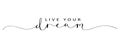 LIVE YOUR DREAM black brush calligraphy banner Royalty Free Stock Photo