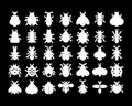 Icon Bugs isolated on black backgroundPrint Royalty Free Stock Photo