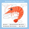 Worksheet body parts shrimp animal