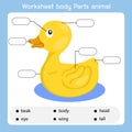 Illustrator of Worksheet body parts duck animal